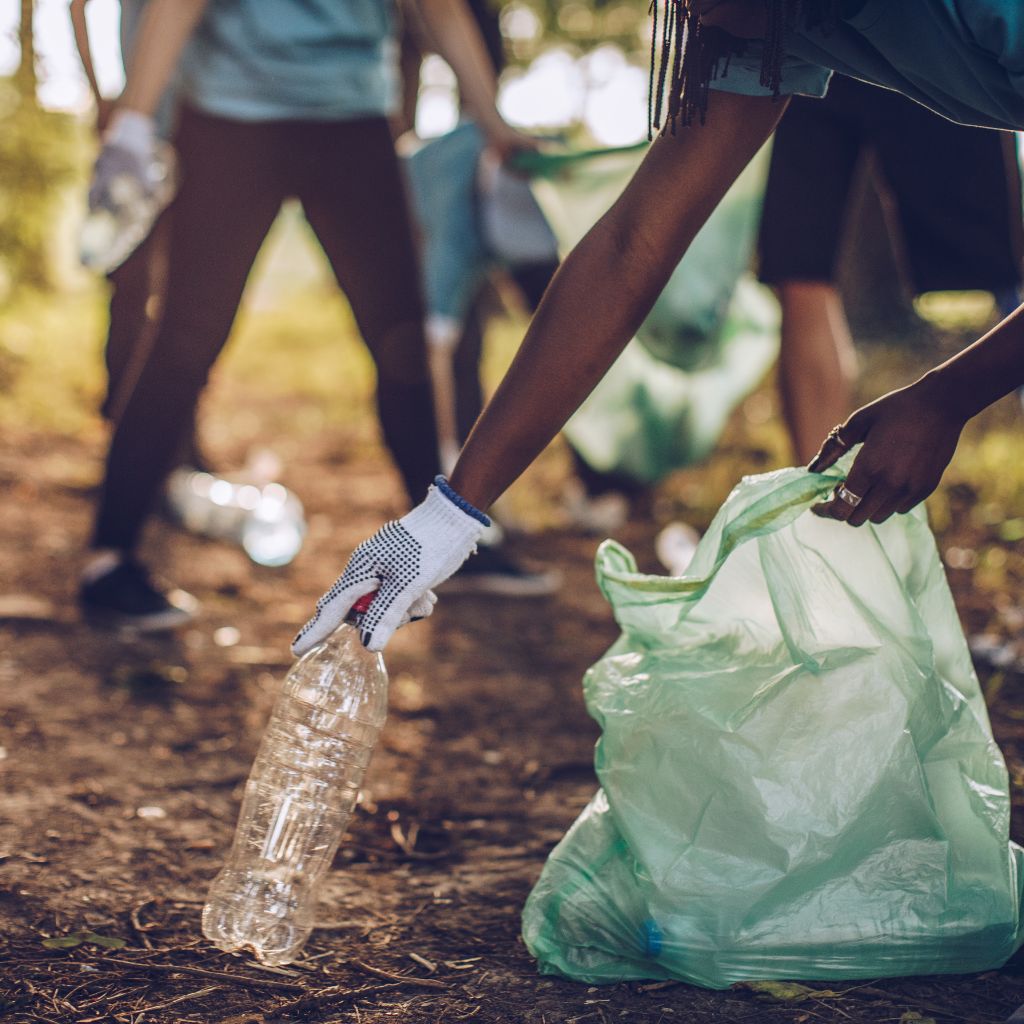 ไมโครพลาสติกสามารถปนเปื้อนในแหล่งน้ำซึ่งอาจส่งผลกระทบต่อห่วงโซ่อาหารและระบบนิเวศ