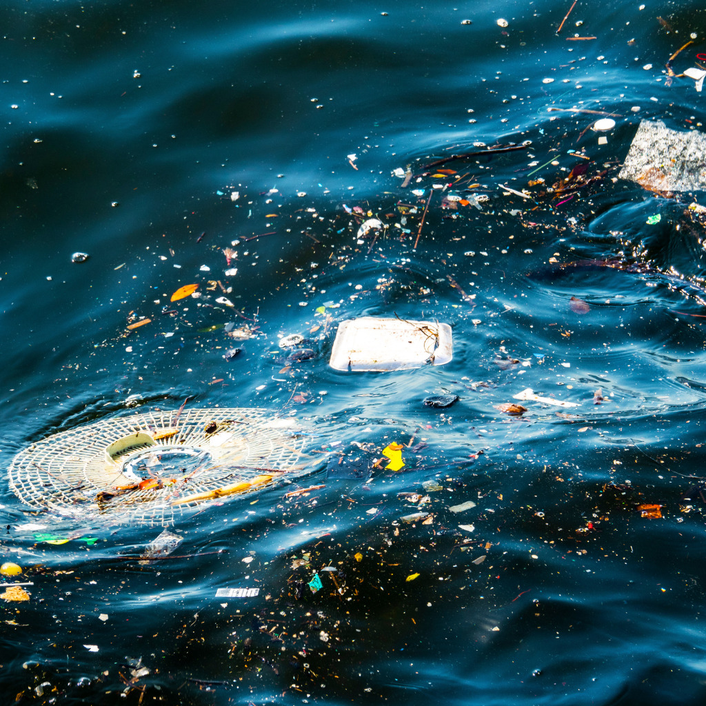 เลือกใช้ผลิตภัณฑ์ที่ปลอดภัยและเป็นมิตรกับสิ่งแวดล้อม